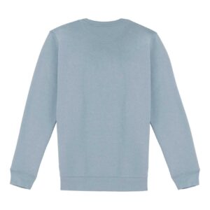 Alternative view of KODONE "TARTU" pusa