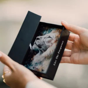 Alternative view of MANIF.ERA Luksuslikud sageduskaardid (ingliskeelne versioon) 1.Osa