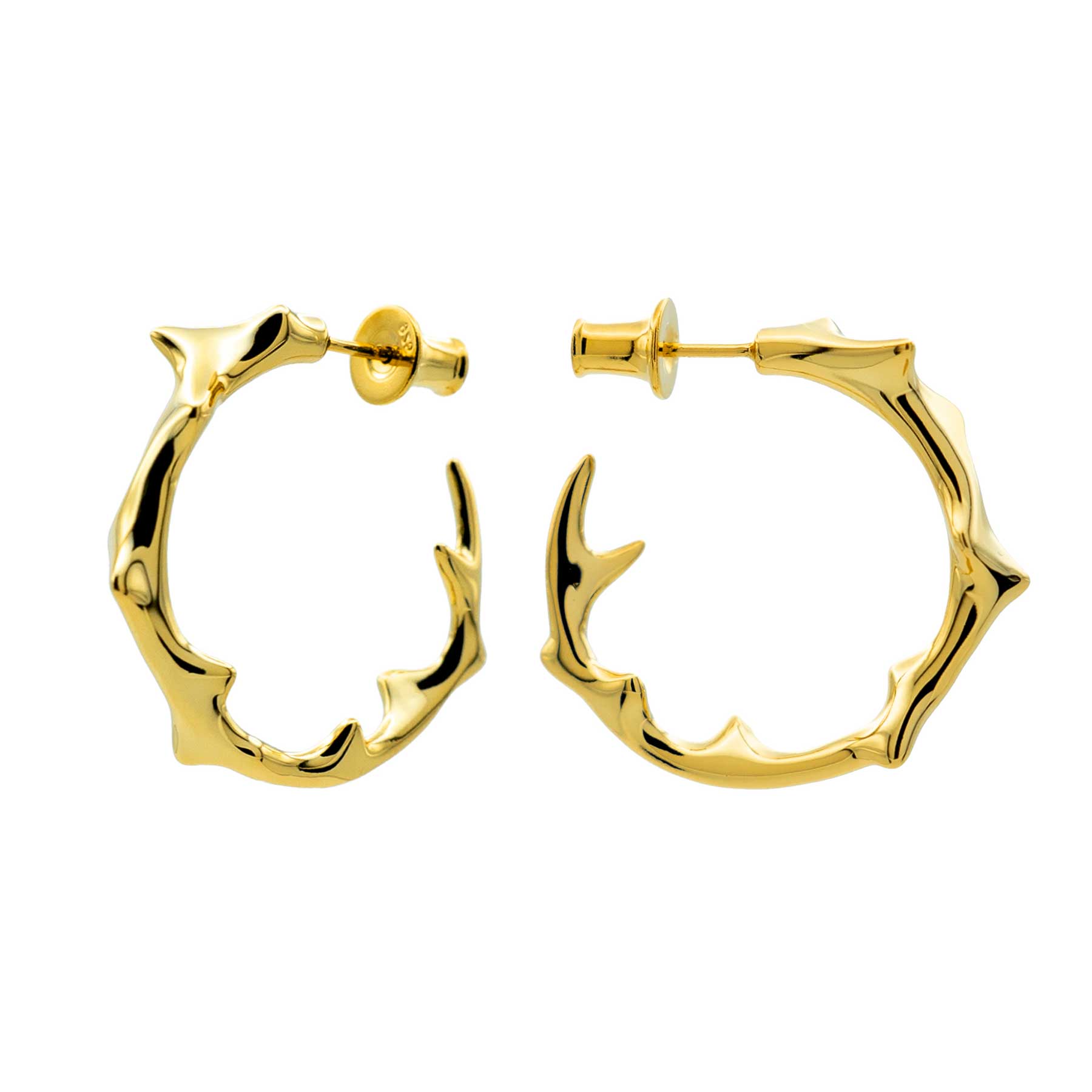 NRTN "MILAM HOOP GOLD" kõrvarõngad