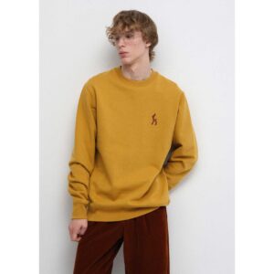 Hannes Rüütel "OIU Sinepikollane" pusa