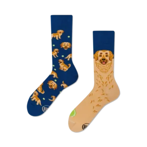 Many Mornings "GOLDEN BOY" sokid