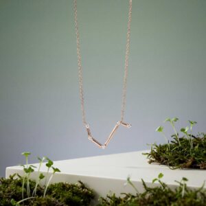 Sin Sia "JÄÄR 2.0" tähtkuju kaelakee