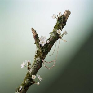 Alternative view of Sin Sia "KALJUKITS 2.0" tähtkuju kaelakee