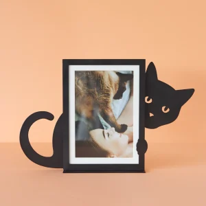 Alternative view of balvi "Hidden Cat" pildiraam