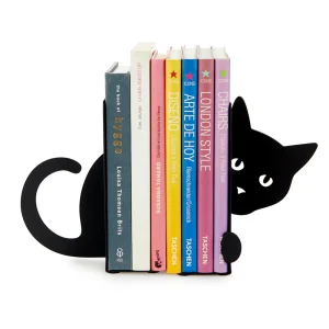 balvi "Hidden Cat" raamatu hoidik