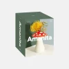 DOIY “Amanita Small” vaas - Pilt 4