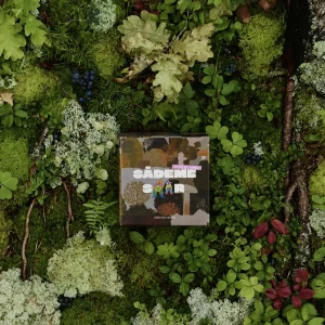 Sädemesaar "Forest Wind" lõhnaküünal