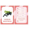 NUPU EESTI MARJAD JA PUUVILJAD Õppekaardid - Pilt 5