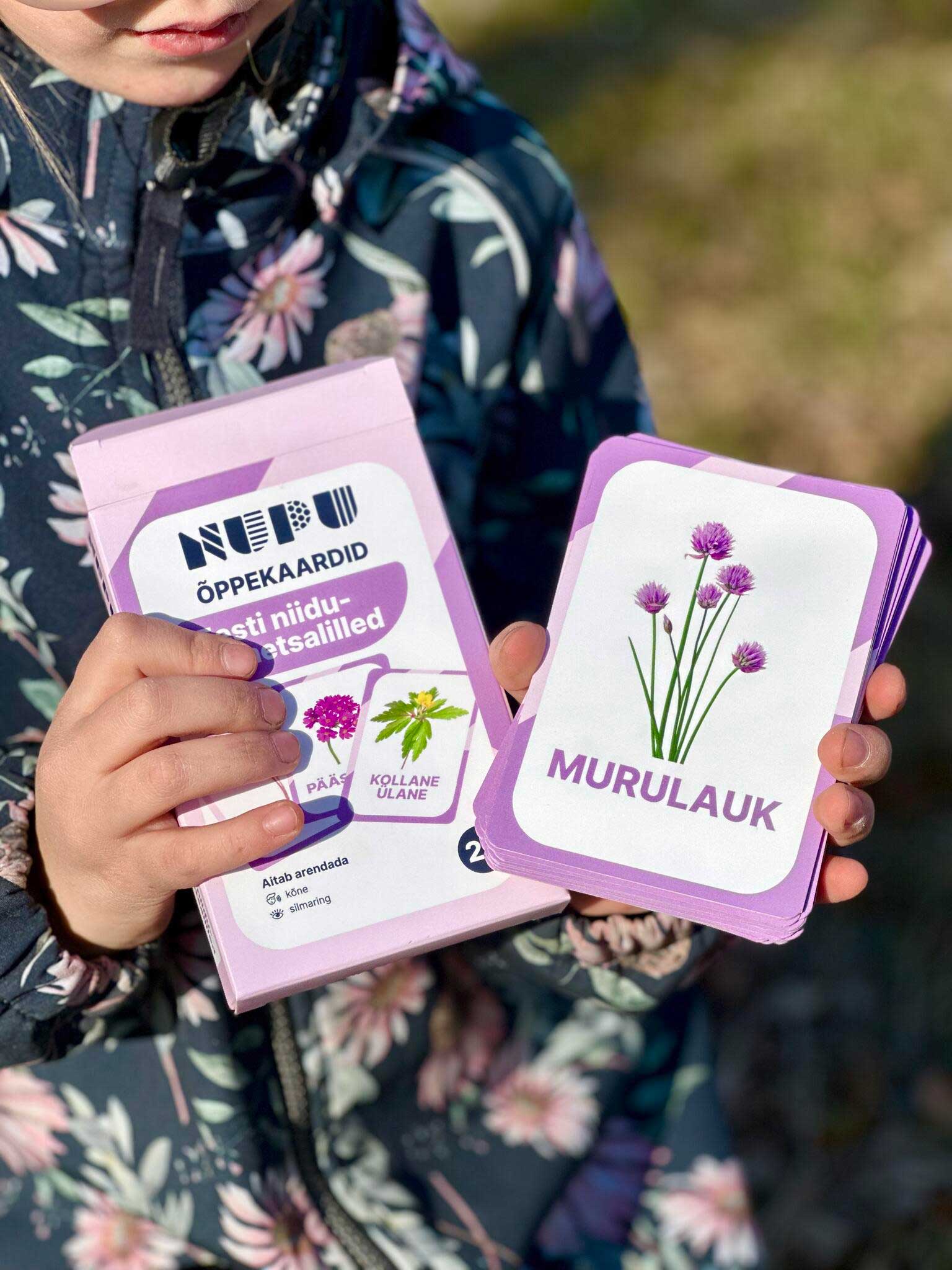 NUPU EESTI NIIDU- JA METSALILLED Õppekaardid - Pilt 3