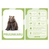 NUPU METSLOOMAD Õppekaardid - Pilt 7