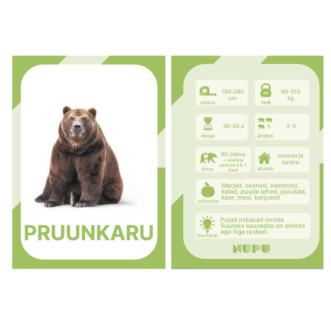 NUPU METSLOOMAD Õppekaardid - Pilt 7